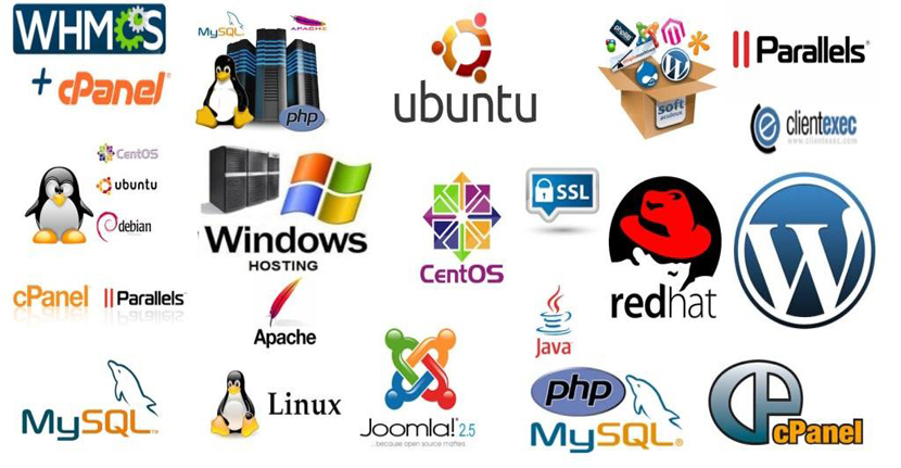 Windows Server,Linux Server,C-Panel,My-Sql